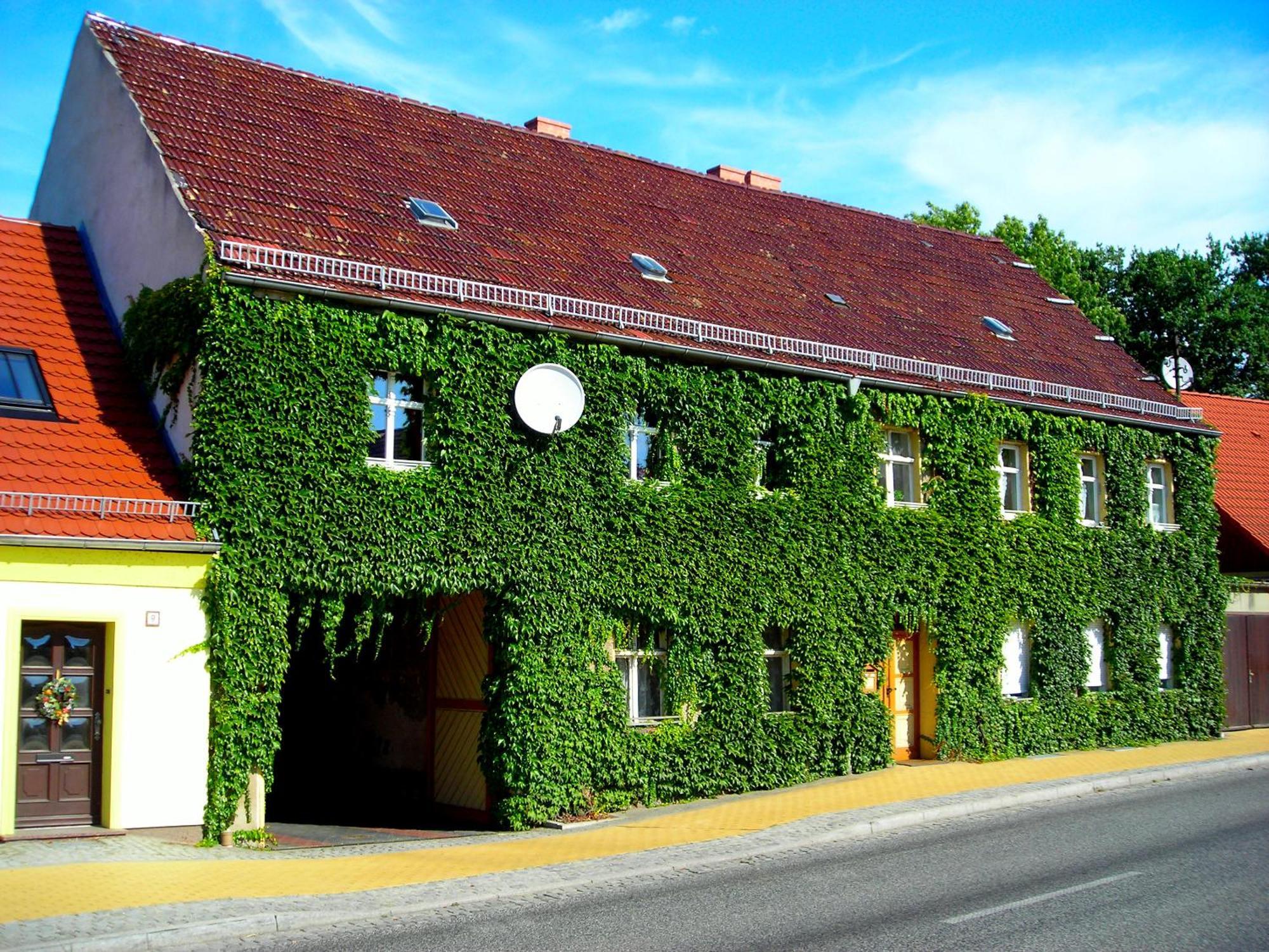 Ferienwohnung Auf Ehem. Alten Bauernhof Liebenwalde Exteriör bild